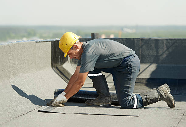 Best Types of Insulation in Lauderdale Lakes, FL